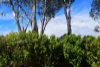 Address available on request, Marsfield, NSW 2122-Image