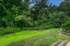 B/57 Cecil Street, Nimbin, NSW 2480-Image