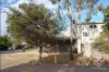 ID:21192901/47 McDonald Flat Road, Clermont, Qld 4721