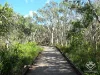 ID:21197430/42 Boardwalk Boulevard, Mount Coolum, Qld 4573-Image