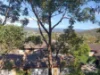 ID:21202398/6 Crestridge Crescent, Oxenford, Qld 4210-Image