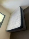 Unit 2B/23 Warren Street, St Lucia, Qld 4067-Image