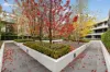 1/1 Kerridge Street, Kingston, ACT 2604-Image