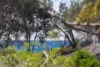 1/11-13 Mitchell Parade, Mollymook Beach, NSW 2539-Image