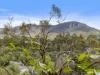 1/118 Strickland Avenue, South Hobart, Tas 7004-Image