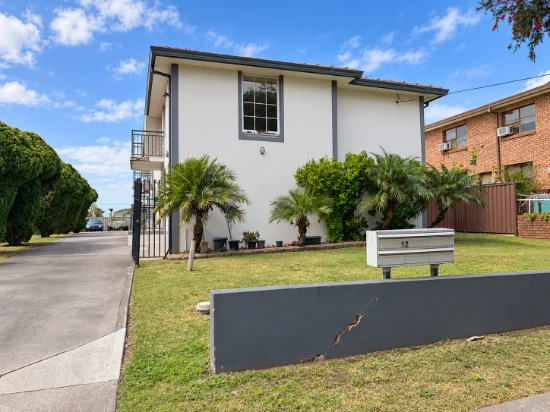 1/12 Levuka Street, Cabramatta, NSW 2166
