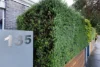 1/135 Smith Street, Thornbury, Vic 3071-Image