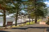 1/14  Broadway, Glenelg South, SA 5045-Image