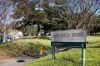 1/15 Orpington Street, Ashfield, NSW 2131-Image
