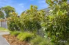 1/15 Terrina Street, Lauderdale, Tas 7021-Image