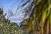 1/16 Gumbowie Avenue, Clifton Springs, Vic 3222-Image