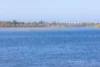1/16 Picnic Point Esplanade, Maroochydore, Qld 4558-Image
