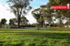 1/1A Henry Street, Midland, WA 6056-Image