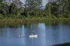 1/2 Blackwood Close, Grafton, NSW 2460-Image