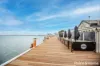 1/2 Loveday Street, Goolwa, SA 5214-Image
