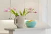 1/24 Balmain Street, Wooloowin, Qld 4030-Image