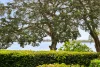 1/24 Picnic Point Esplanade, Maroochydore, Qld 4558-Image