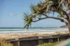 1/246 Jefferson Lane, Palm Beach, Qld 4221-Image