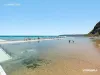 1/26 Morgan Street, Merewether, NSW 2291-Image