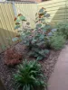 1/289 Tapleys Hill Road, Seaton, SA 5023-Image