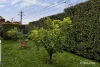 1/292-294 Canterbury Road, Heathmont, Vic 3135-Image