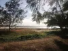 1/31 Mango Avenue, Eimeo, Qld 4740-Image