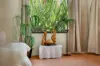 1/319 Severin Street, Parramatta Park, Qld 4870-Image