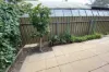 1/33 Kitchener Street, Netherby, SA 5062-Image