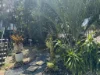1/35 Second Street, Railway Estate, Qld 4810-Image