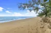 1/380 Esplanade, Scarness, Qld 4655-Image