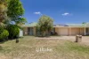 1/4 Butcherbird Place, West Busselton, WA 6280