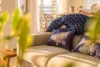 1/41 Sims Esplanade, Yorkeys Knob, Qld 4878-Image