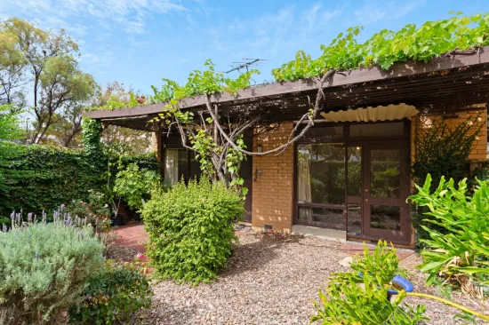 1/443 Henley Beach Road, Lockleys, SA 5032-Image