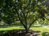 1/46 Boongala Terrace, Maroochydore, Qld 4558-Image