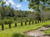 1/47 Gladstone Road, Sadliers Crossing, Qld 4305-Image