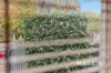 1/5 Carruth Road, Torrens Park, SA 5062-Image