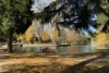 1/506 Dandenong Road, Caulfield North, Vic 3161-Image