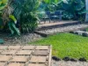 1/56 Balaclava Road, Earlville, Qld 4870-Image