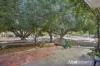 1/58 Cunningham Terrace, Daglish, WA 6008-Image