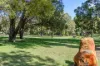 1/58 Cunningham Terrace, Daglish, WA 6008-Image