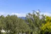 1/6 Mariah Crescent, Oakdowns, Tas 7019-Image