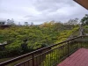 1/63 Warren St, St Lucia, Qld 4067-Image