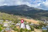 1/66 Hillborough Road, South Hobart, Tas 7004-Image