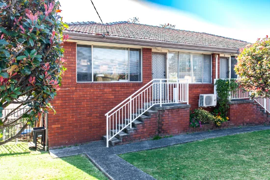 1/67 Jane Avenue, Warrawong, NSW 2502