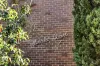 1/7 Wastell Street, Northcote, Vic 3070-Image