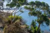 1/708 Sandy Bay Road, Sandy Bay, Tas 7005-Image