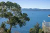 1/708 Sandy Bay Road, Sandy Bay, Tas 7005-Image