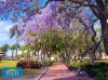 1/72 Boundary Street, Parramatta, NSW 2150-Image