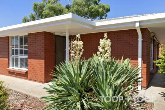 1/74 McDonnell Avenue, West Hindmarsh, SA 5007