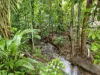 1/82-84 Old Smithfield, Freshwater, Qld 4870-Image